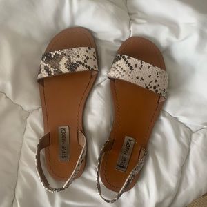 Snakeskin Steve Madden sandals
